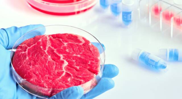 Italia boccia la carne sintetica: vietata la produzione e la vendita nel paese
