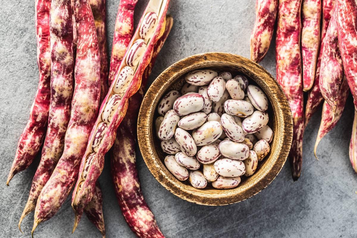 Borlotti beans