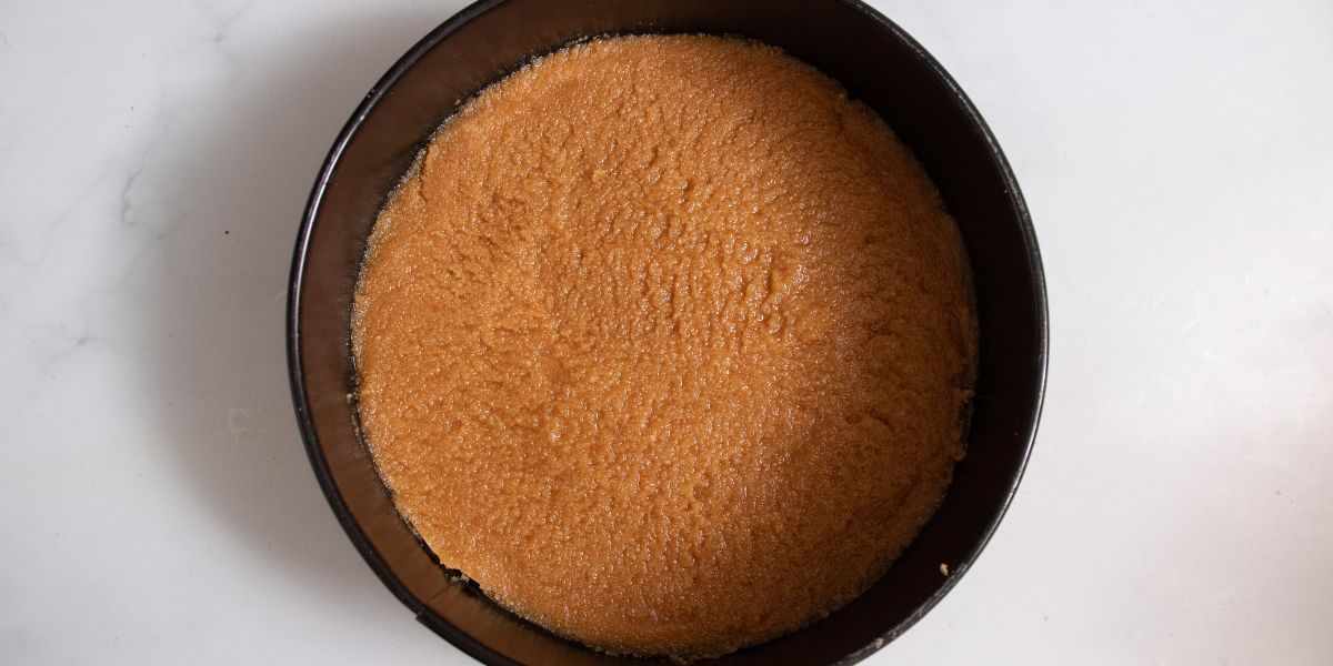 Base of the cheesecake