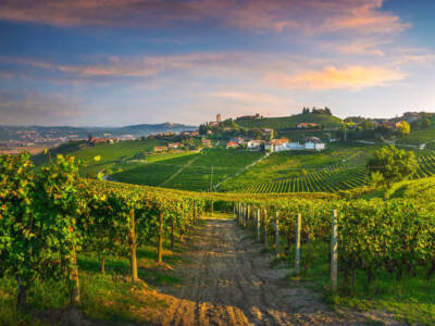 L’azienda vinicola migliore al mondo è italiana!