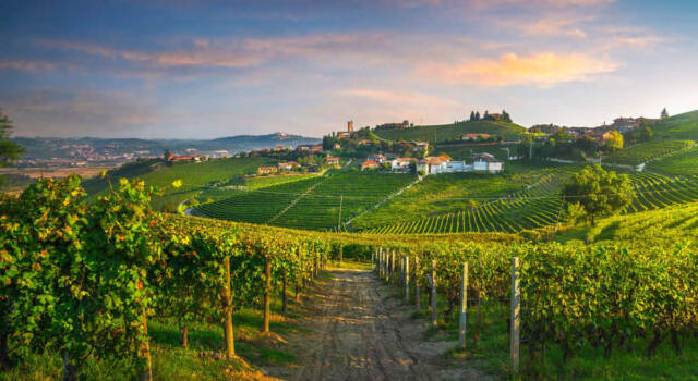 L&#8217;azienda vinicola migliore al mondo è italiana!