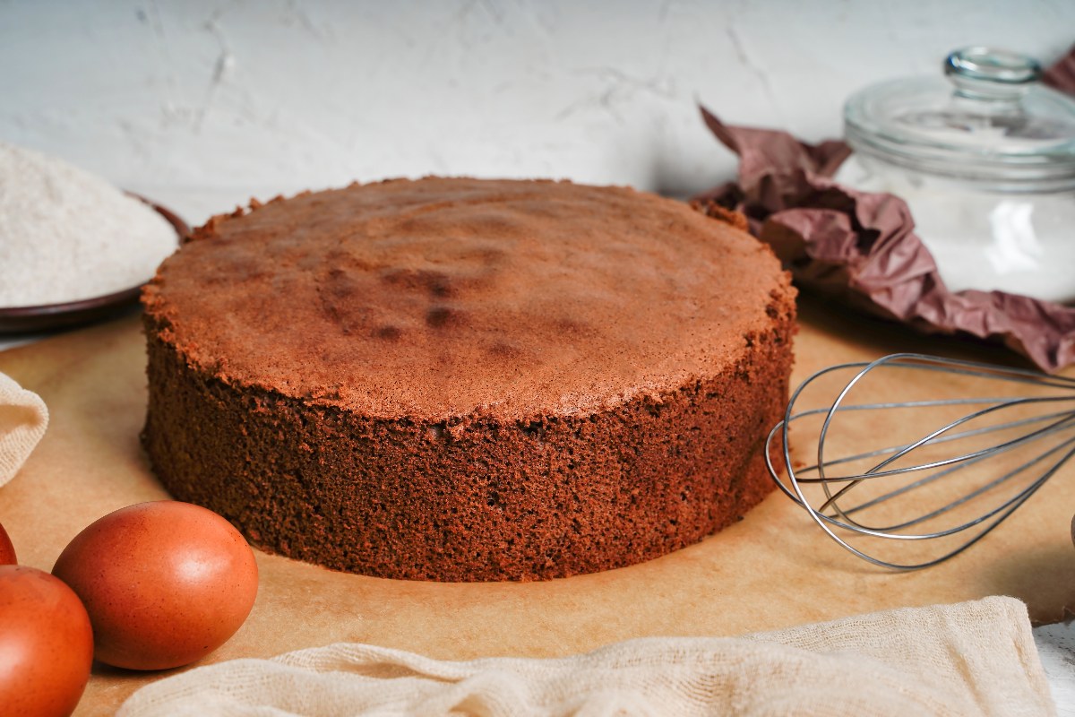 Cocoa sponge cake