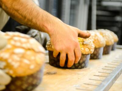 Panettoni di pasticceria