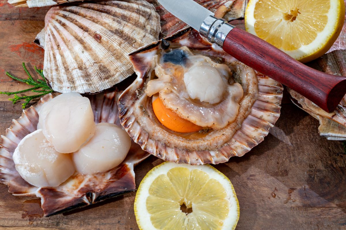 Clean the scallops