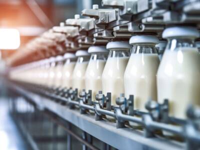 Latte senza mucche: la produzione sostenibile di latte sintetico in laboratorio