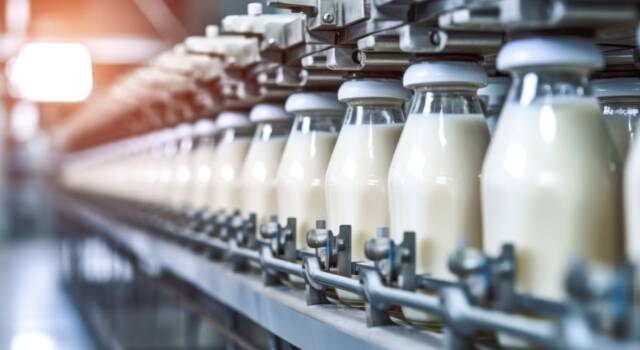 Latte senza mucche: la produzione sostenibile di latte sintetico in laboratorio