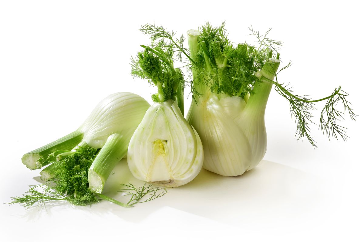 Fennel