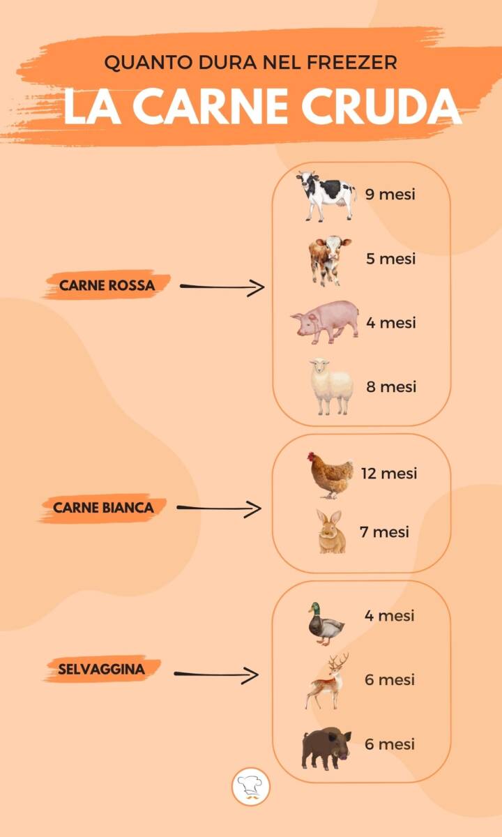 Infografica quanto dura la carne nel freezer