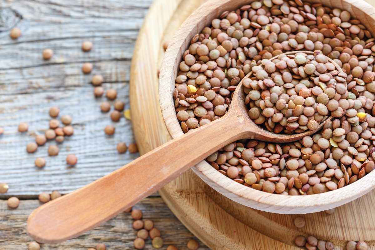 Brown lentils in a wooden bowl with wooden spoon