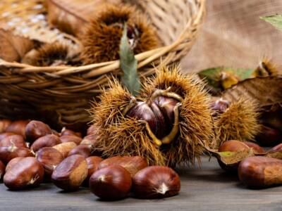 Castagne matte