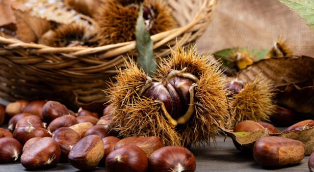 Come capire se le castagne sono matte o buone