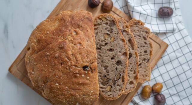 Pane di castagne