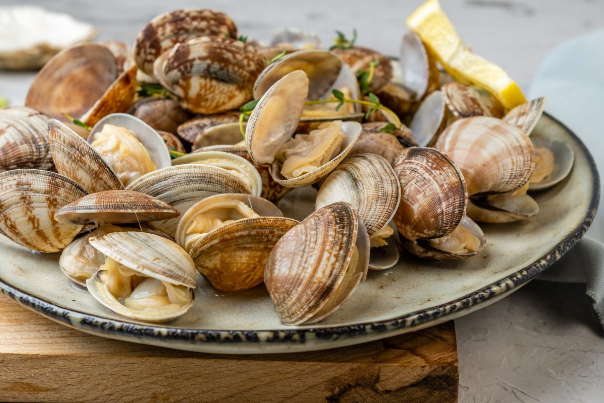 Vongole aperte su piatto con fetta di limone e timo