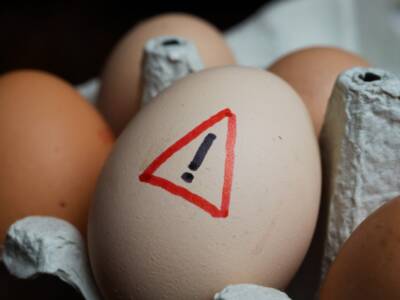 Mc Donald’s senza uova: ed è tutta colpa dell’influenza aviaria