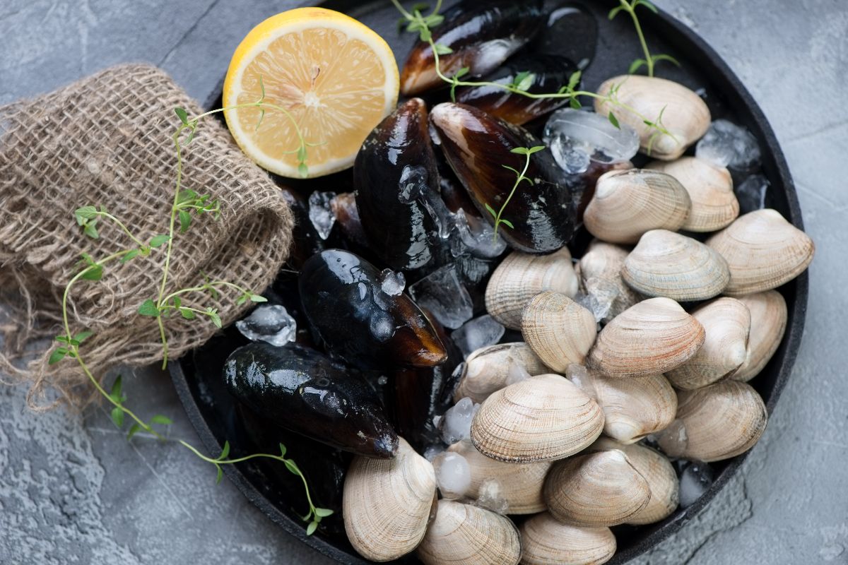 Piatto con cozze e vongole fresche appena pescate
