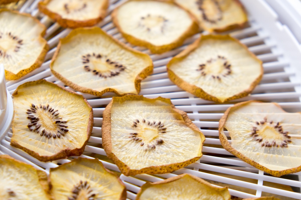 Dried kiwi slices in dryer tray