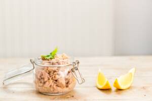 Vasetto con tonno di pollo sfilacciato