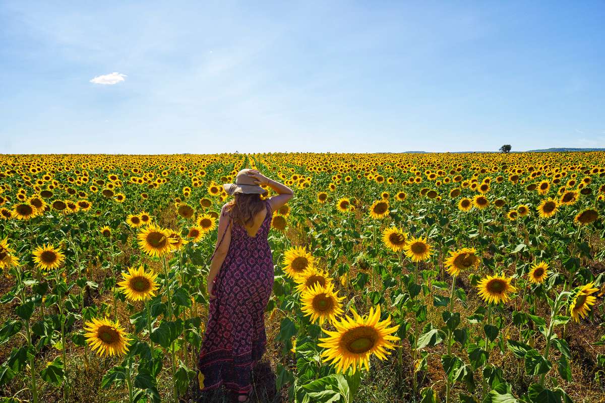 Ragazza con vestito colorato e cappello di paglia che cammina tra girasoli, di spalle.